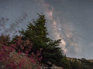 Barouk - Milky way - Maroun habib