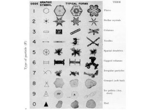  Snowflakes main categories