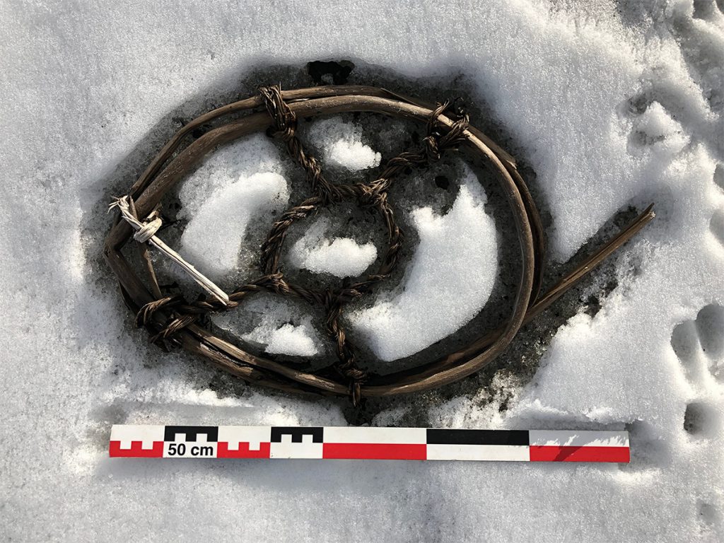 Snowshoe for a horse found during the 2019 fieldwork at Lendbreen. It has not yet been radiocarbon-dated. Credit: Espen Finstad/Secretsoftheice.com