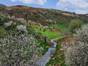 take a quiet walk with mother nature it will nurture your mind, body & soul - Spyro Klitira