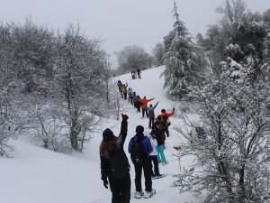 Winter - snowshoeing