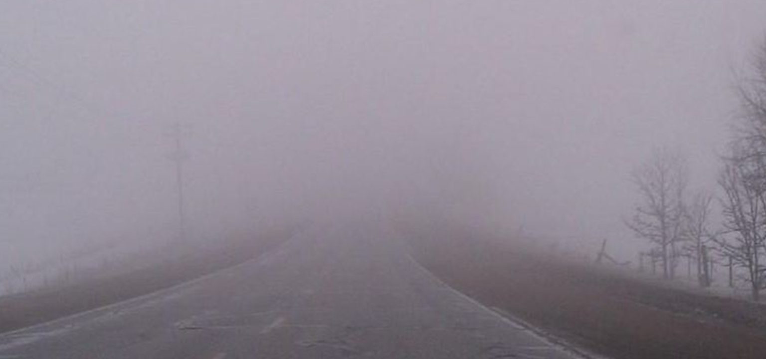 Ft fog. Ft fog. Ft fog. Ft fog. Shinigami tenshi игра.