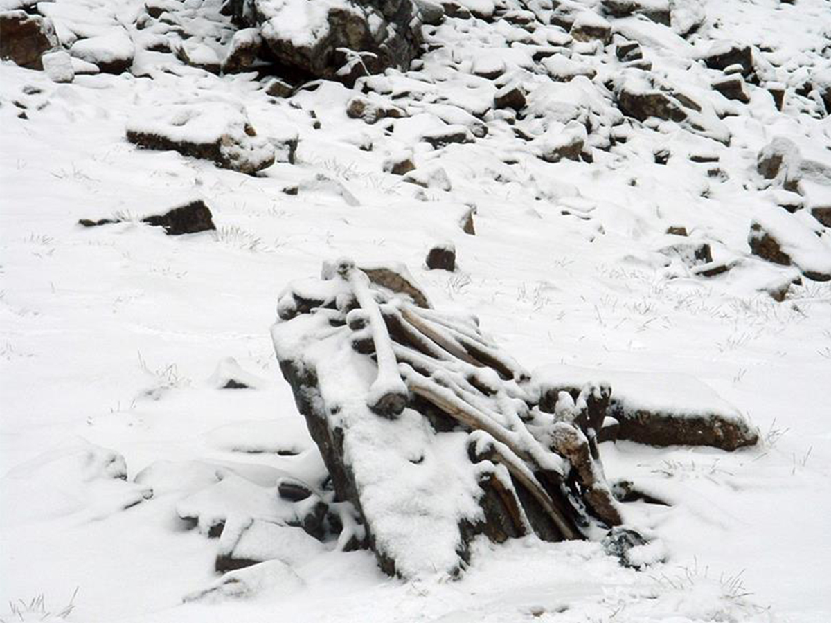 Snow covered skeletal elements at Roopkund Lake - Image Credit: Pramod Joglekar