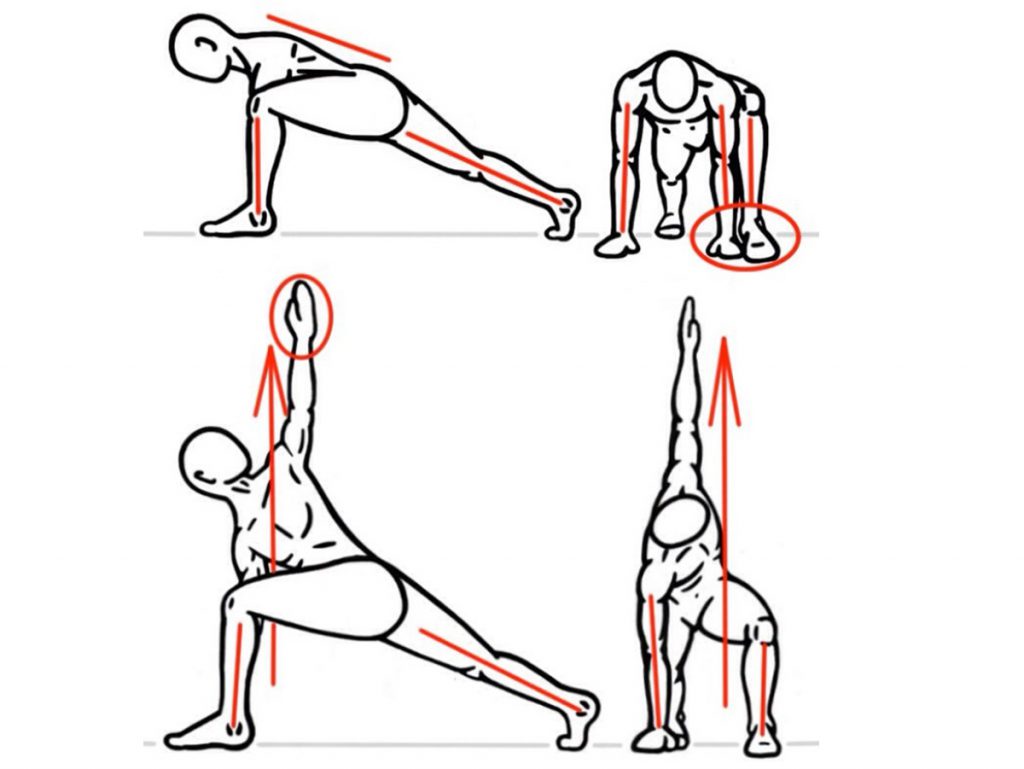 Do Tight Hip Flexors Correlate to Glute Weakness?