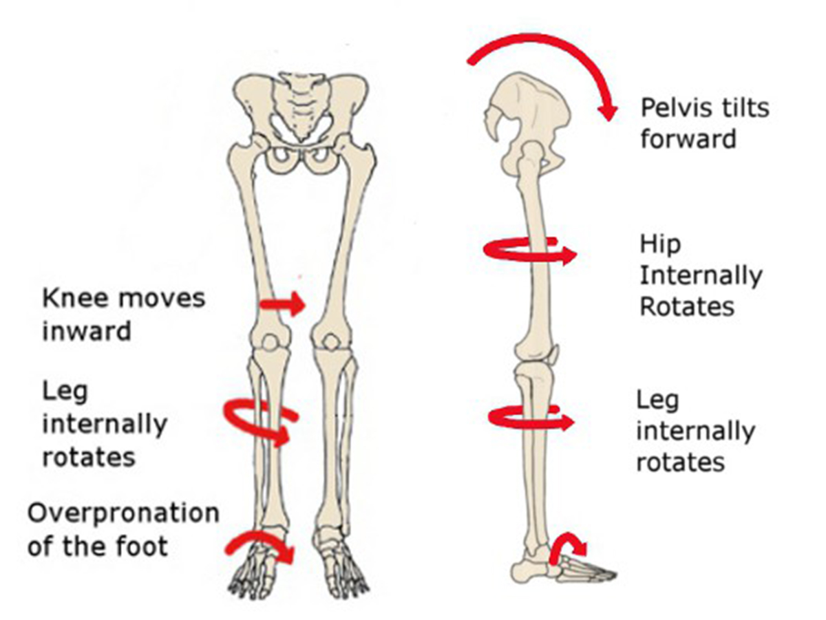 pelvis tilt