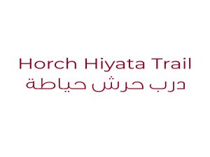 Horch Hiyata