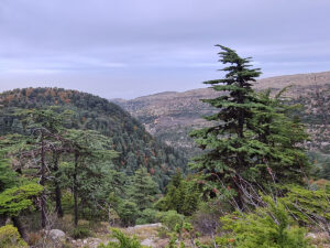 Foreground (Right) Ehden Reserve - Spyro Klitira
