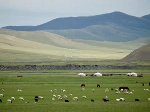 Mongolian Nomadic Life