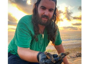 Hatchling loggerhead sea turtle (caretta caretta) - Rami Khashab